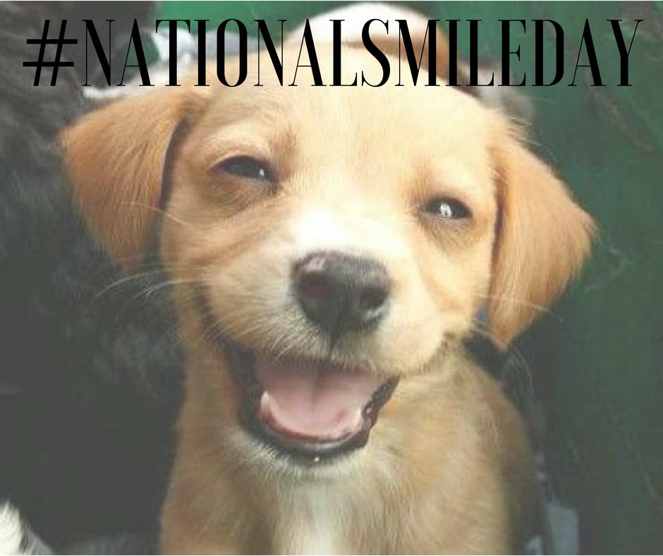RoyalCourierInc's tweet image. It's #NationalSmileDay Try it, it's free!