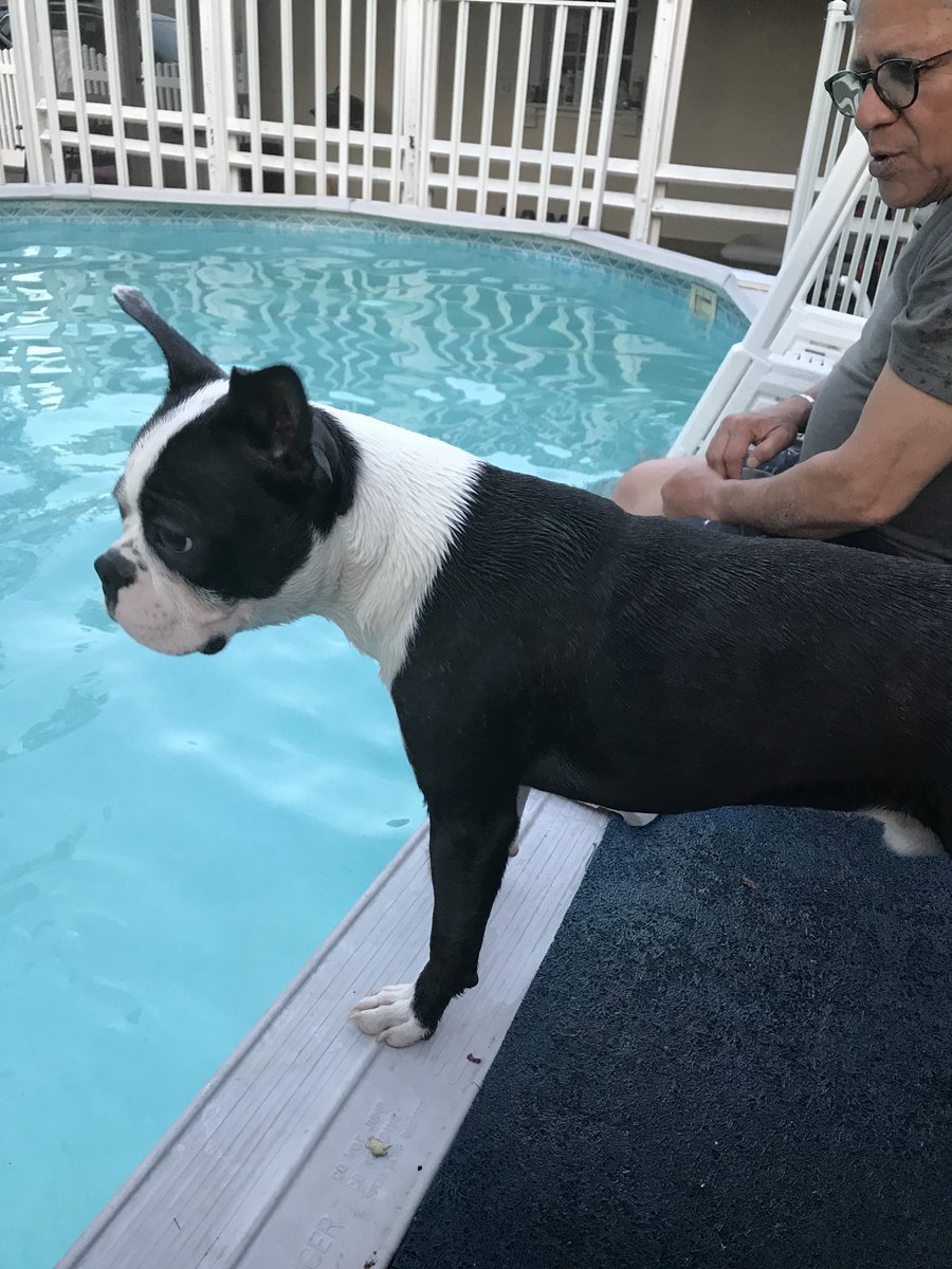 Gingerymikey's tweet photo. Carl loves his pool! #carl2018 https://t.co/etRPtboclv