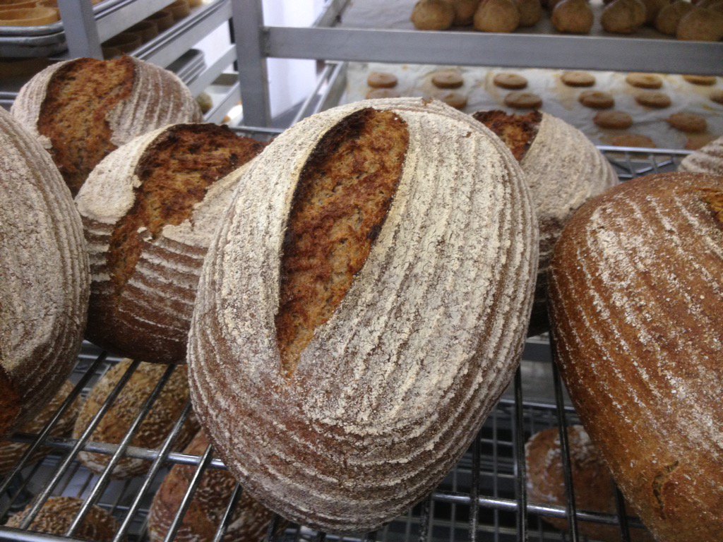 Sourdough Organic Prairie Dark Rye fresh out of the oven featuring <a href="/GoldForestGrain/">Gold Forest Grains</a> Rye avail <a href="/124GrandMarket/">Grand Markets Edmonton</a> #real