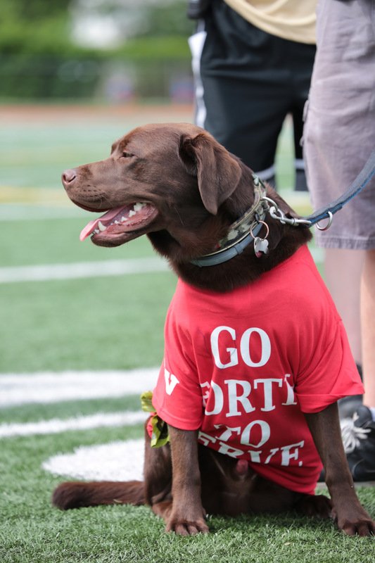 rvdevildash's tweet photo. @njdotcom, @RVRHS1 hosts its annual RV Devil Dash tomorrow at 3! Come check out hundreds of SJ participants tackle 42 obstacles in a 1-mile race to support military causes. So far, we've raised $100,000 and sponsored a service dog for a local Vet. https://t.co/1OZL0Sdbez https://t.co/NLkUJu5KbY