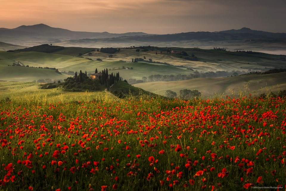 Ray_Masters_CF's tweet photo. RMCF &amp; Fausto Meini
 ZERO Filters
https://t.co/BOt6tidhKa
 #landscapephotography #raymasterscamerafilters #landscapephoto #landscapephotographers #ig_shotz #big_shotz #discoverearth #travelstoke #roamtheplanet #earthfocus #awesomeearth #earthpix #naturephotography  #photooftheday https://t.co/Jo5maLCOFq