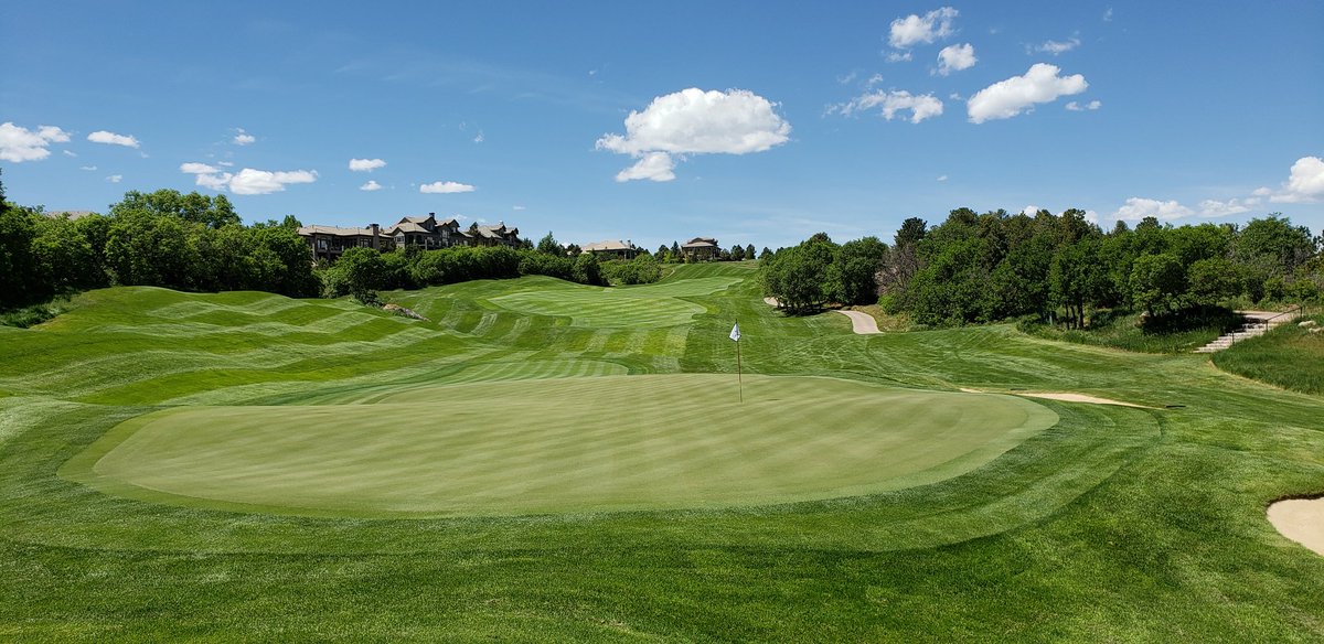 Sean McCue tweet media