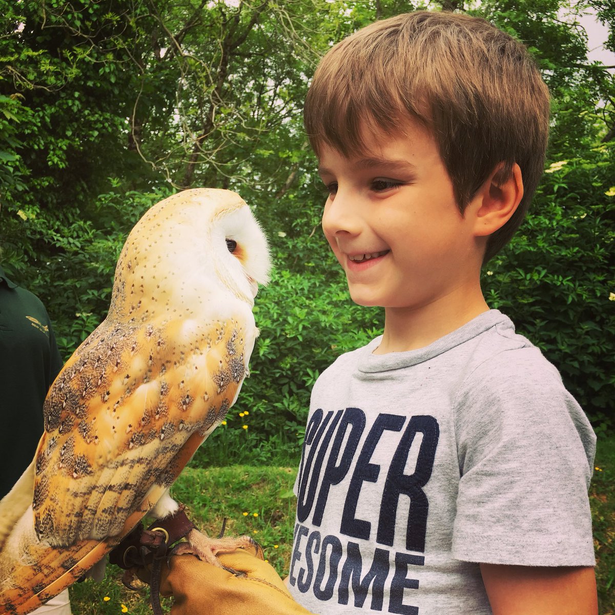 LucaMaxiMorgan's tweet photo. Thank you for the most amazing experience @NQBOPWales Made our holiday so special. Would recommend so much! Such lovely people but of course the Owls were the stars of the day!! #Wales @visitceredigion https://t.co/B6CfOIknuV