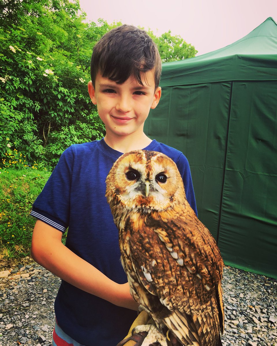 LucaMaxiMorgan's tweet photo. Thank you for the most amazing experience @NQBOPWales Made our holiday so special. Would recommend so much! Such lovely people but of course the Owls were the stars of the day!! #Wales @visitceredigion https://t.co/B6CfOIknuV