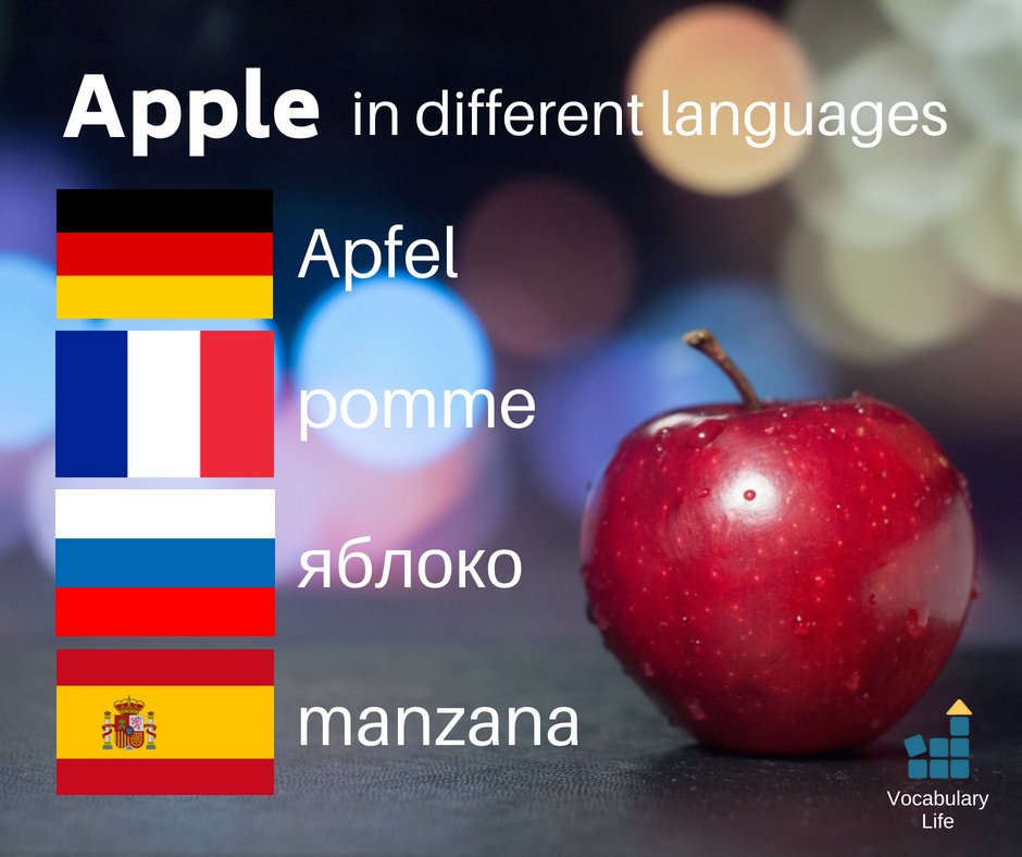 VocabularyLife's tweet image. How do you say 'apple' in your language? 🤔😀
#language #vocabulary