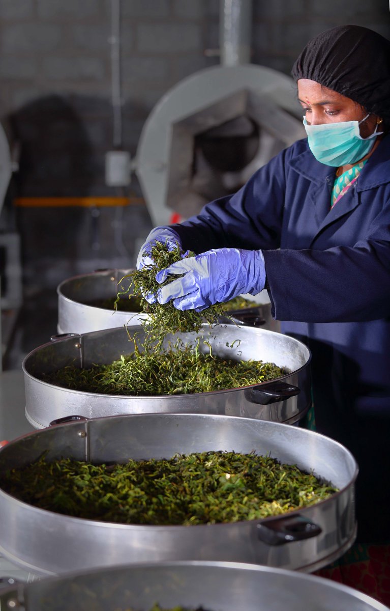 DailyTeaTweets's tweet photo. Kevin Gascoyne, one of the @CamSinTeahouse professional Tea Tasters, took some time to answer a few questions about their new Tea Studio.
https://t.co/rHoXYJJ5O8
#thedailytea #teastudio #camelliasinensis #tea #innovativetea #teaindustry #teanews https://t.co/TPbLMK4Zqz