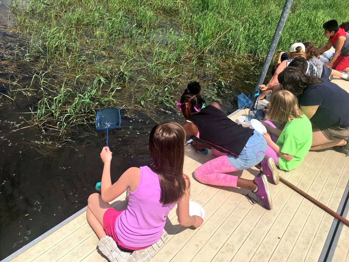 WW_3rd's tweet image. Richardson Nature Center was hands down the greatest field trip ever! We learned about salamanders and observed one live! We also went to the pond and netted many native animals and insects! 🐌🐢🦗🐠🐸 Thank you @RichardsonTRPD for the awesome educational experience!