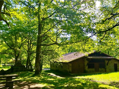🔥 Zeanuri estrena un panel interpretativo sobre el Calero de San Justo. Un código QR permite ver el proceso de fabricación en uno de los últimos caleros en funcionamiento de Gorbeia. ow.ly/lvk930kgDKm #gorbeia #zeanuri #calero