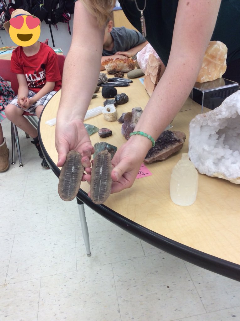 heyms_robinson's tweet photo. Carolyn #tinygems shared her rock/crystal/fossil collection with us. ?s answered and inspiration! @PJamesKeating @SCDSBey #scdsbschools https://t.co/EO0G9HLd58