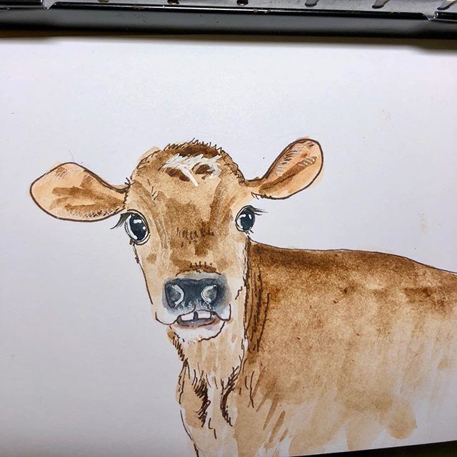Today I learned cows and goats do not have top teeth😯 .
.
.
.
.
#liyanastudio #liyanasketch #cow #cows #cowsofinstagram #cowlove #cowlover #farmanimals #barn #farmland #farmlife #rusticart #cowart #animalillustration #picturebook #childrensbookillust… ift.tt/2kEMX87