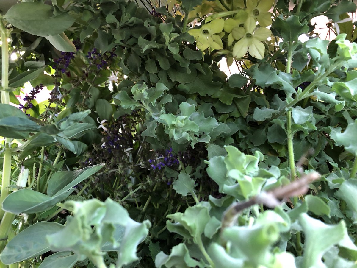 Riverside Garden tweet media