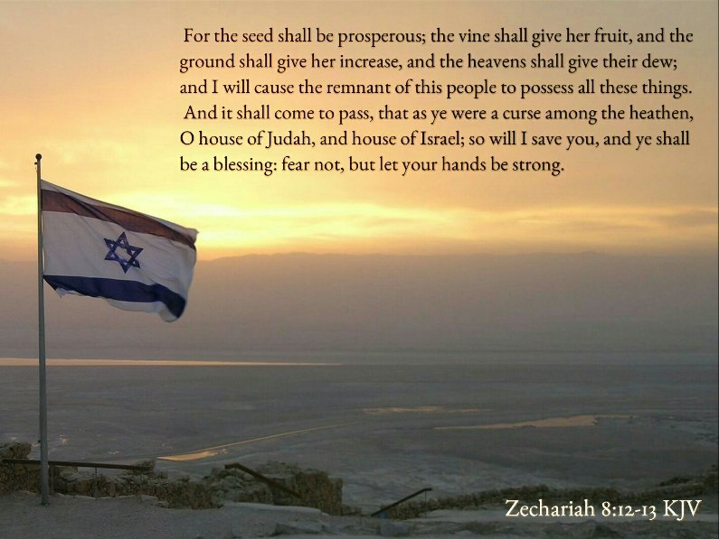 Bible Verses KJV on Twitter: "Zechariah 8:12 KJV For the seed shall be prosperous; the vine shall give her fruit, and the ground shall give her increase, and the
heavens shall give