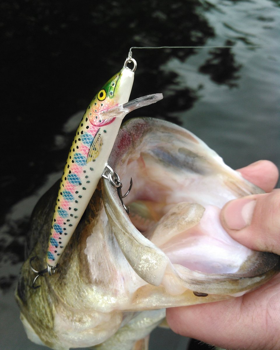 WMOMedia's tweet photo. Original Floater in rainbow trout pattern by Rapala #largemouthbassfishing #FishingInMaine #fishing #bassfishing #rapalafanclub #rapala #rapalalurescatchfish #wildmaineoutdoorstv #huntchanneltv #gooddaytofish🎣 #goodfishing #hookah #hookedonfishing https://t.co/6NkeCvWDWz