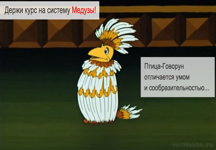 Прикольные картинки птица говорун