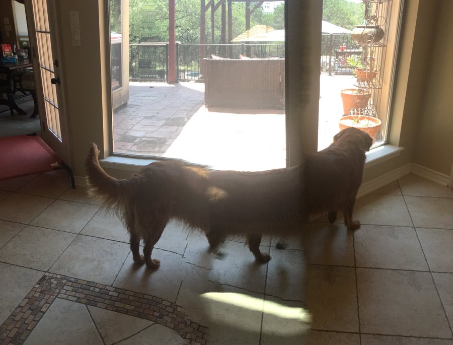 View image on Twitter