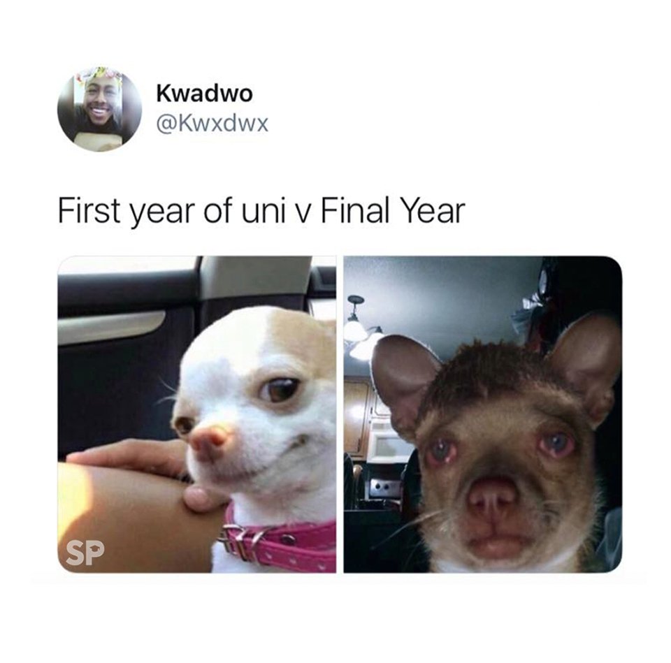 kit_college's tweet photo. If you can't relate to this meme now, believe me, soon enough you'll be able to! #MKT400UWL https://t.co/BPSroPm7yx @studentproblems https://t.co/xdgo1roO9V