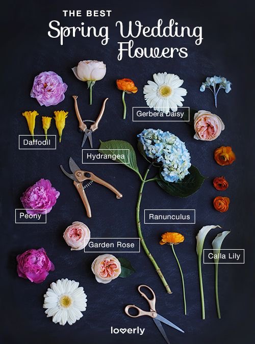 rockfordbride's tweet photo. The best wedding flowers for spring! 💐 https://t.co/ft6OTLkrXz