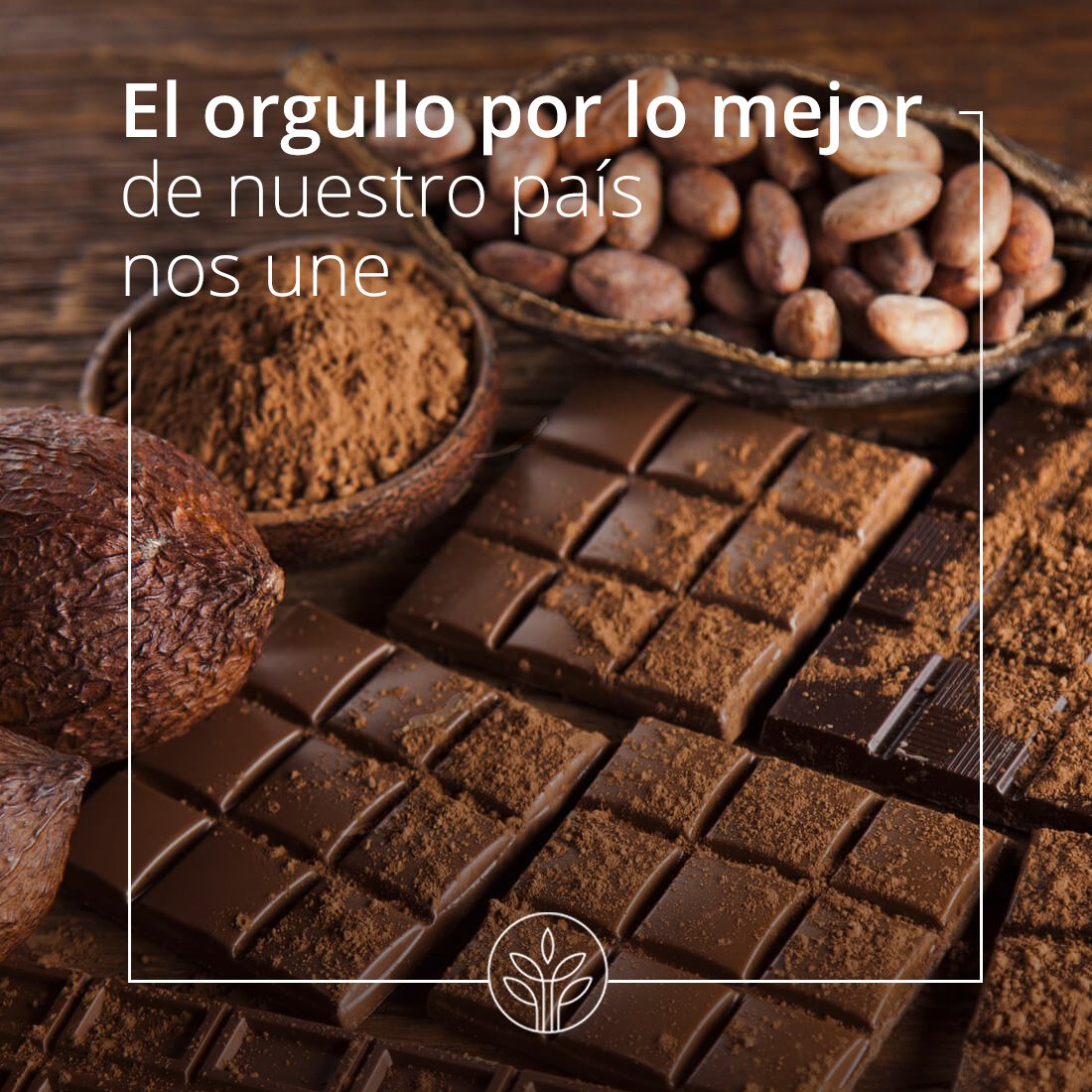 ESAICA1's tweet photo. Nos sentimos orgullosos de que nuestro país produzca el mejor cacao del mundo #granosFinosdearoma #Esaica #produccion #expoertacion #cacao #chocolate #chocolatelover https://t.co/AsosGe0iZF