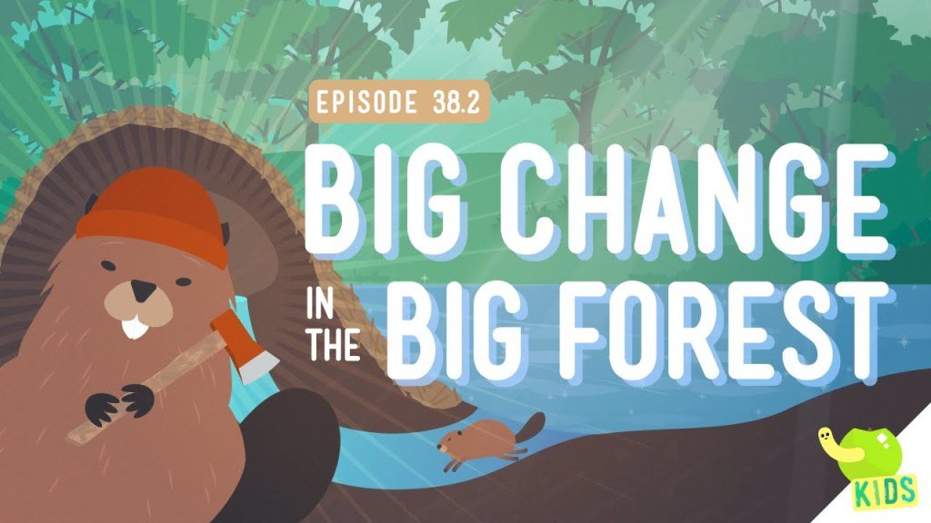 thekidshouldsee's tweet photo. How do living things change their environments? 🌳🏞🌳 #video https://t.co/fF6aWh9a7T https://t.co/Ouqbh3BdGq