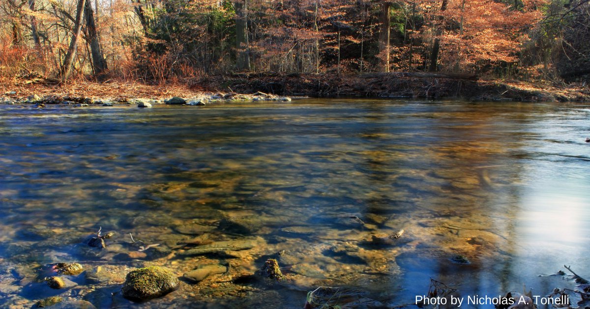 ConservationPA's tweet photo. Take action: PA's Fish & Boat Commission will soon vote on whether to grant special classification to more than 100 of PA's cleanest streams to protect them from pollution and development. Tell them to give these streams the highest level of protection > https://t.co/d8bCEPCwn4 https://t.co/KtSTMxGN6S