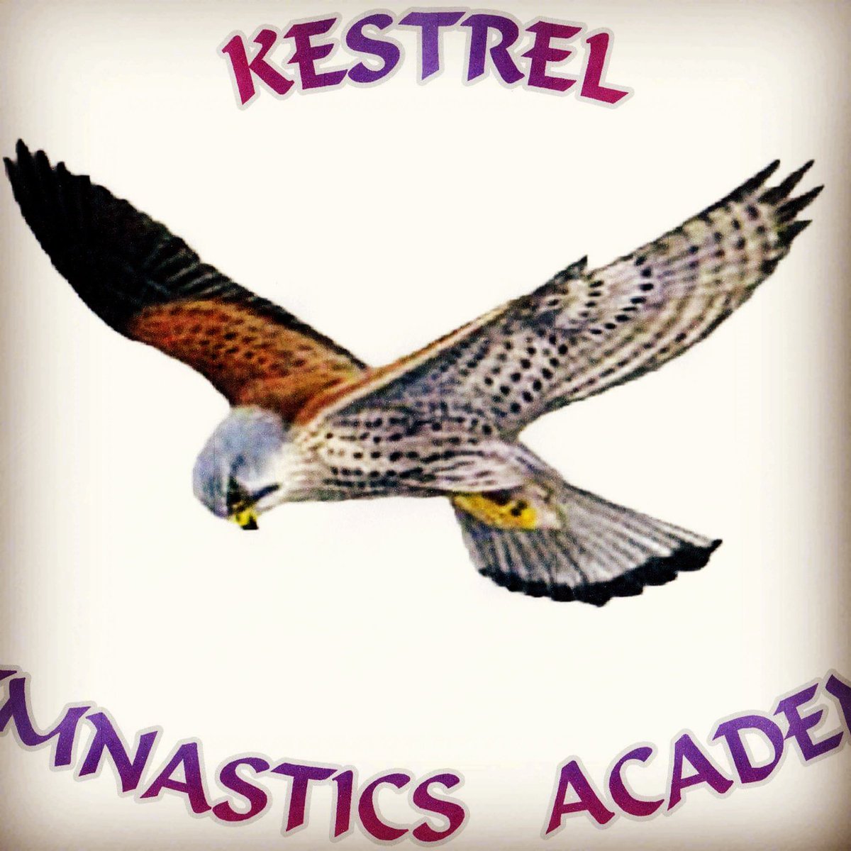 kestrelgym's tweet photo. Parent toddler gymnastics Friday 1.45-2.45, pay as you go class no need to book 🤸🤸🤸 https://t.co/MAy2x8aJAe