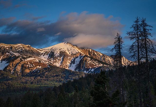epetersenphoto's tweet photo. Sacajawea waking.
Sometimes when I see a beautiful Montana moment unravel in front of me, I stop the car and take a picture.
Sometimes I’m glad I did.
•
•
•
#sacajaweapeak #bridgers #bridgermountains #sunrise #mountains #montana #lastbestplace #runwi… https://t.co/91JIH9PfJn https://t.co/jYus8RZliu