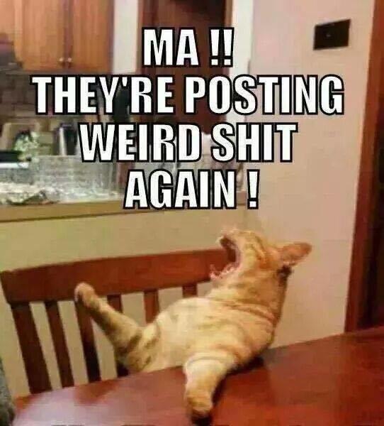 @youhappypuppet @souternkid @ThundrWeasel @1969Snowie  https://t.co/nPwFUKFkKy<a class="tags" target="_blank" title="On Twitter" href="/?out=eyJ0eXAiOiJKV1QiLCJhbGciOiJIUzUxMiJ9.eyJpYXQiOjE3MjQ3OTUzMjEsImlzcyI6InR3cG9ybnN0YXJzLmNvbSIsIm5iZiI6MTcyNDc5NTMyMSwiZXhwIjoxNzU2MzMxMzIxLCJyZWRpcmVjdF91cmwiOiJodHRwczovL3R3aXR0ZXIuY29tL3lvdWhhcHB5cHVwcGV0In0.J4zMsygqtbbNIUGniC_F_OE6KoYdgJiIIzC0dldvhdLfsy9XpeutAVhlVTHSMfcvGdN-oaBVL0T3eyBKFXlBlA">@youhappypuppet</a><a class="tags" target="_blank" title="On Twitter" href="/?out=eyJ0eXAiOiJKV1QiLCJhbGciOiJIUzUxMiJ9.eyJpYXQiOjE3MjQ3OTUzMjEsImlzcyI6InR3cG9ybnN0YXJzLmNvbSIsIm5iZiI6MTcyNDc5NTMyMSwiZXhwIjoxNzU2MzMxMzIxLCJyZWRpcmVjdF91cmwiOiJodHRwczovL3R3aXR0ZXIuY29tL3NvdXRlcm5raWQifQ.1wLcOqZrCM_T0czIQBwlwllh8LdNlnbYozgSrcgAtjaxmO04FSJvu2ict7HLz8LZtIFgALRxRU_BiTLfl_7tNA">@souternkid</a><a class="tags" target="_blank" title="On Twitter" href="/?out=eyJ0eXAiOiJKV1QiLCJhbGciOiJIUzUxMiJ9.eyJpYXQiOjE3MjQ3OTUzMjEsImlzcyI6InR3cG9ybnN0YXJzLmNvbSIsIm5iZiI6MTcyNDc5NTMyMSwiZXhwIjoxNzU2MzMxMzIxLCJyZWRpcmVjdF91cmwiOiJodHRwczovL3R3aXR0ZXIuY29tL1RodW5kcldlYXNlbCJ9.iLWqVWArF7wLqu0CIoh-D185WQ1JBLKknCglQOTwhCghho2YpWirPUZRp3joXyo0fjLaGNUQA894pcpW1I5imQ">@ThundrWeasel</a><a class="tags" target="_blank" title="On Twitter" href="/?out=eyJ0eXAiOiJKV1QiLCJhbGciOiJIUzUxMiJ9.eyJpYXQiOjE3MjQ3OTUzMjEsImlzcyI6InR3cG9ybnN0YXJzLmNvbSIsIm5iZiI6MTcyNDc5NTMyMSwiZXhwIjoxNzU2MzMxMzIxLCJyZWRpcmVjdF91cmwiOiJodHRwczovL3R3aXR0ZXIuY29tLzE5NjlTbm93aWUifQ.CZIo-IP6AW9fxyIuUeF-k32haQZOurmV5J7DhcKJ_zOHEmI1Dp4IQr8nyR4ulMUcYMLY8Rshn83W7r9piLCpaA">@1969Snowie</a><a href="/tag/cutes"class="tags"><span>#cutes</span></a>