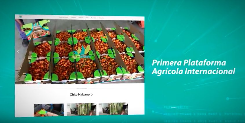 Agrocoin_'s tweet image. La primera plataforma agrícola internacional, #Agrostore
youtube.com/watch?v=sVfTeS…
