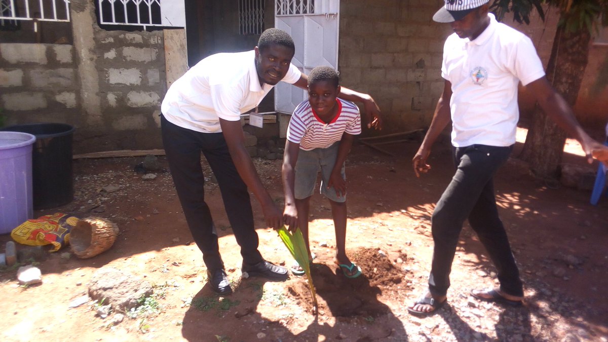 safety_drink's tweet photo. We have planted dwarf coconut seedlings in Lower Manya Krobo too. The Church of Nazareth and St. Paul's Presbyterian Church at Atua got a good turn and are grateful for the initiative, 'One House - One Coconut Tree' https://t.co/oLqxheydIx
