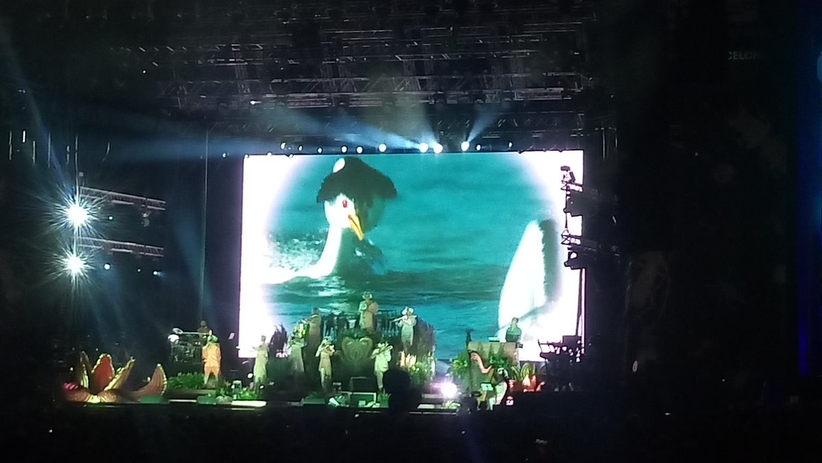 mrdominicsmith's tweet photo. The angry duckling - amazing visuals in @bjork's  #PrimaveraSound set https://t.co/8lFzq1T0Rf