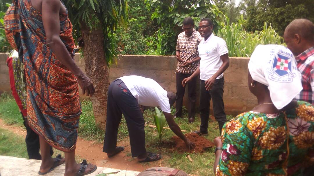 safety_drink's tweet photo. We have planted dwarf coconut seedlings in Lower Manya Krobo too. The Church of Nazareth and St. Paul's Presbyterian Church at Atua got a good turn and are grateful for the initiative, 'One House - One Coconut Tree' https://t.co/oLqxheydIx