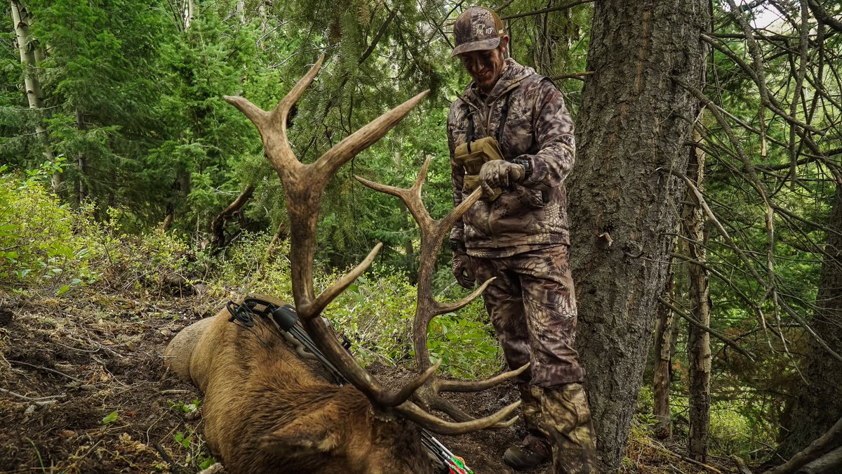 Muley Freak tweet media