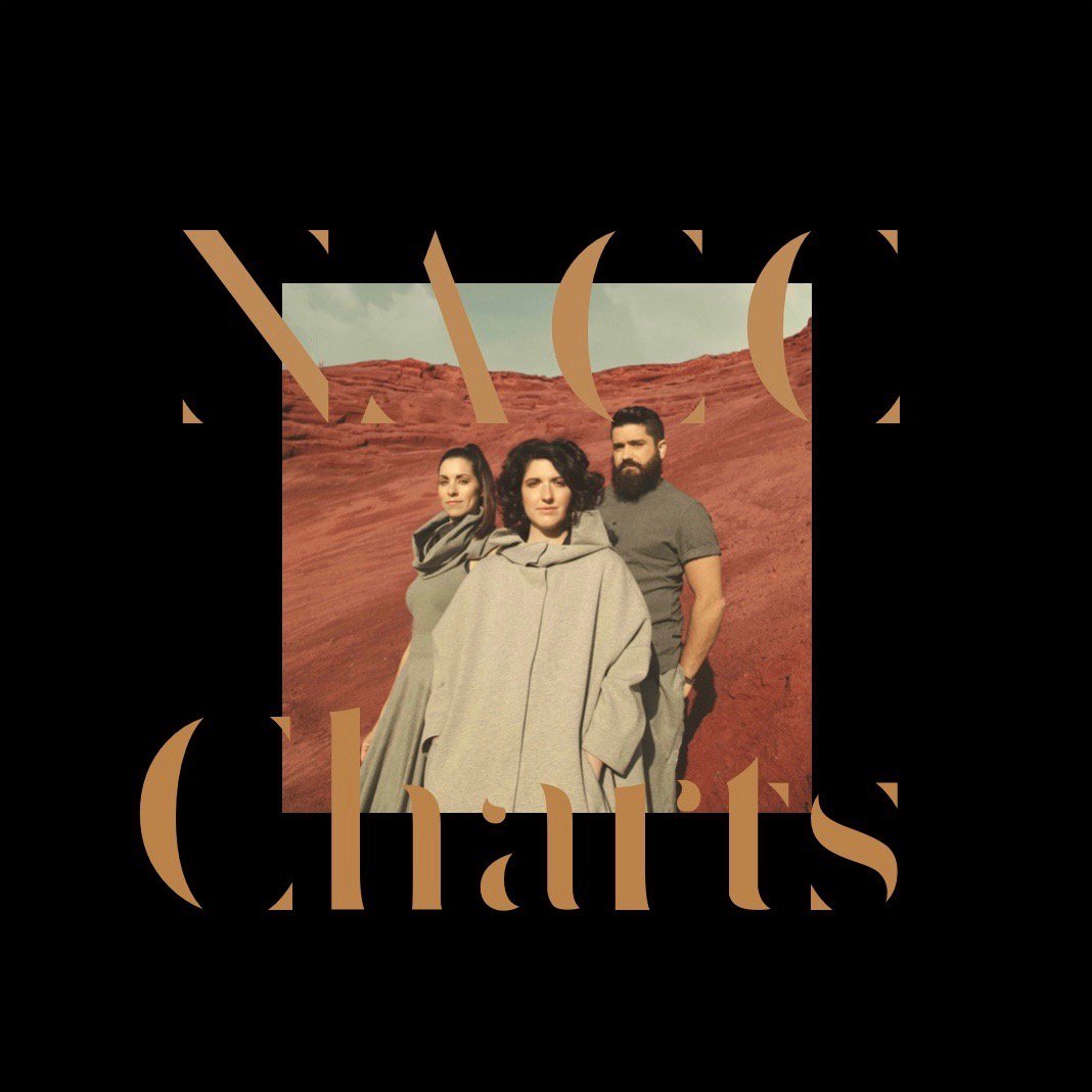 Our album just entered the North American College and Community Radio charts at number 25 on the World Charts!  So excited!!