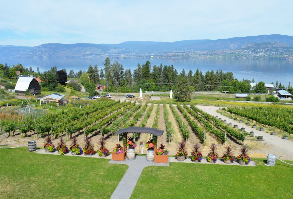 It may be chilly and rainy right now, but that's no reason not to find a few summer wines that really shine! <a href="/summerhillwine/">Summerhill Pyramid Winery</a> Cipes Brut was recently featured in <a href="/CulinaireMag/">Culinaire Magazine</a>​. Read more about this organic and biodynamic summer sparkler here: buff.ly/2Ldkod9