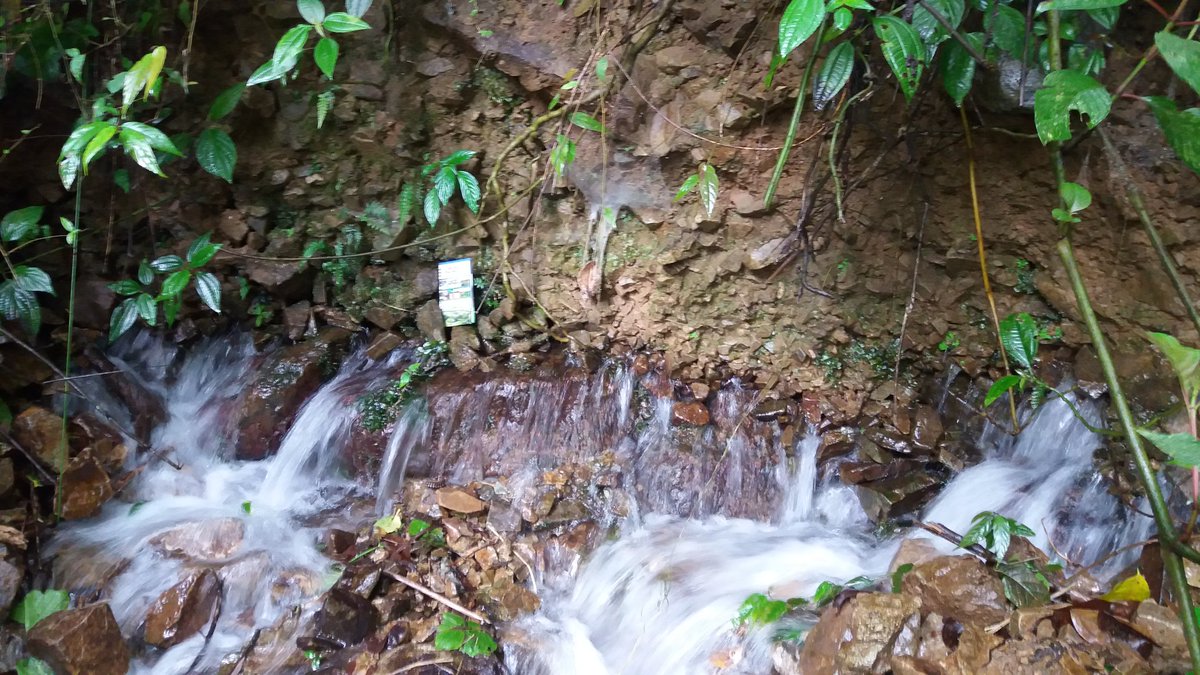 ingcorreacorrea's tweet image. -Manantial de Contacto- ICC apoyando en el componente de Hidrogeología para el desarrollo sostenible de la infraestructura vial del País. Proyecto Pacífico 1.