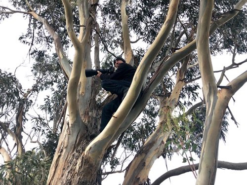 Damp squib: #Demolition of #Anglesea power plant falls flat! dedicated photographer <a href="/Joe_Armao_/">Joe Armao</a> stuck up a tree for half a day waiting for big bang theage.com.au/national/victo… via <a href="/theage/">The Age</a>  <a href="/bpreiss/">Benjamin Preiss</a>