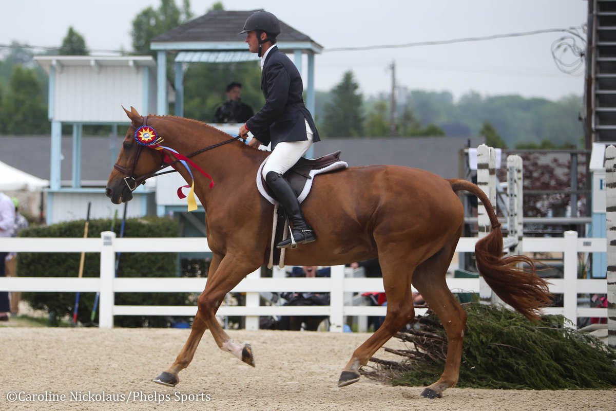 PhelpsSports's tweet photo. Hunt Tosh🥇and Flamingo K captured the $25,000 @USHJA International Hunter Derby on Thursday afternoon at @Devon1896 followed by Tori Colvin🥈and Gelato in second place and Maggie Jayne🥉and Standing Ovation in third! https://t.co/9Cc7GizE5G #Devon2018 https://t.co/jvXrCGbKFO