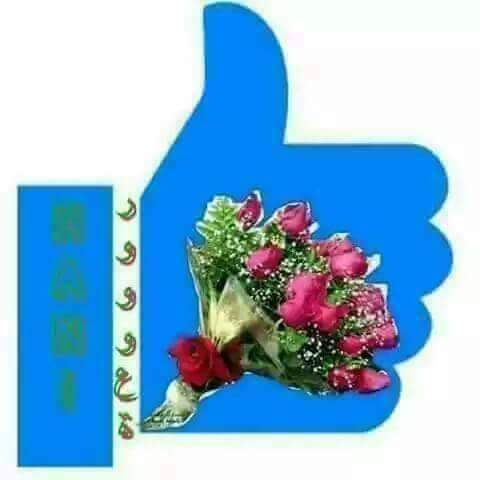 OSgtkGmFPacJDzn's tweet image. سلام دوستان