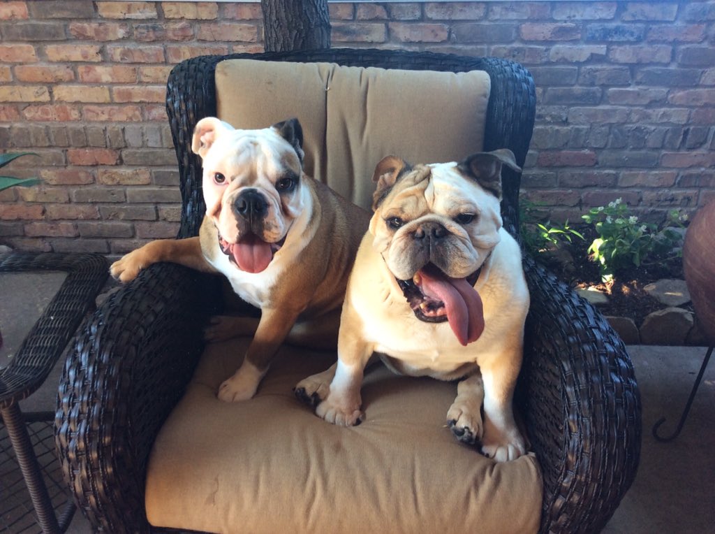#ThrowbackThursdays #NationalSmileDay Me and Fen.....