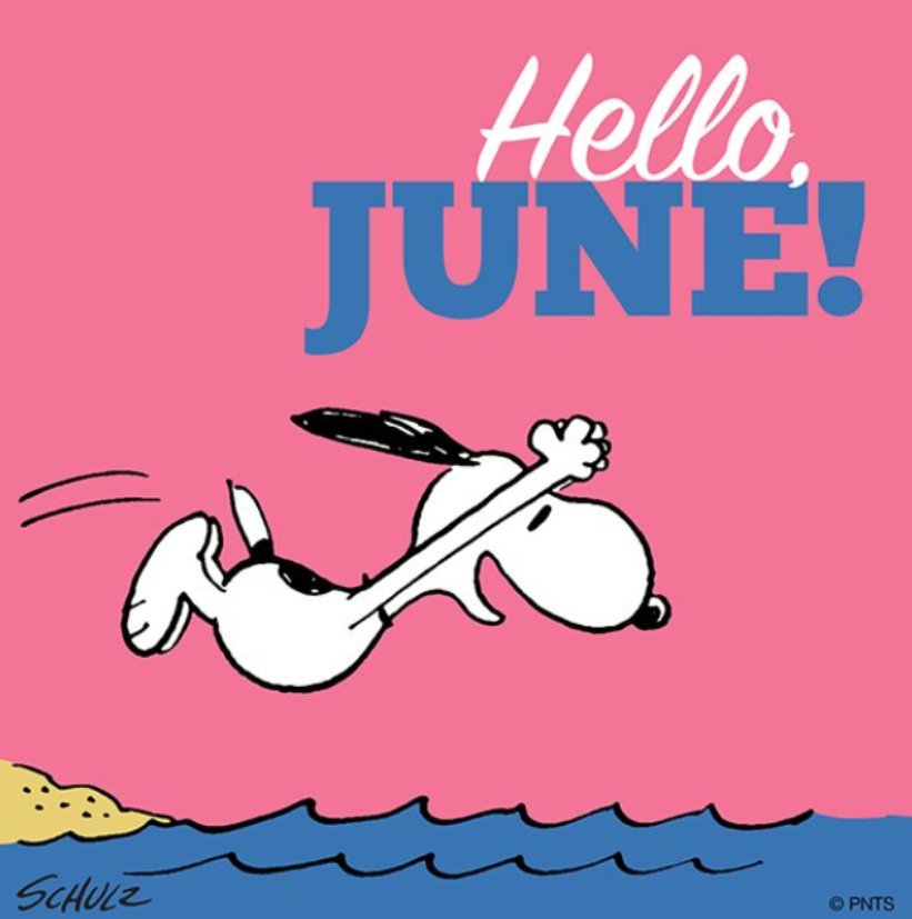 UhligCorinna's tweet photo. Good Morning World And Hallo June. Please be a good one
#June #Junio #Juni #junethoughts #goodmorning #peanuts #Snoopy https://t.co/B8YcUX585o