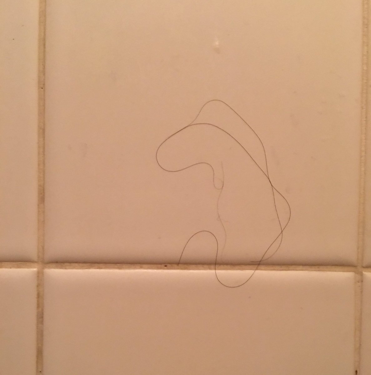 letalyn's tweet photo. The hair on my shower wall looks like a seahorse, right?? https://t.co/zwXHPWVWkS