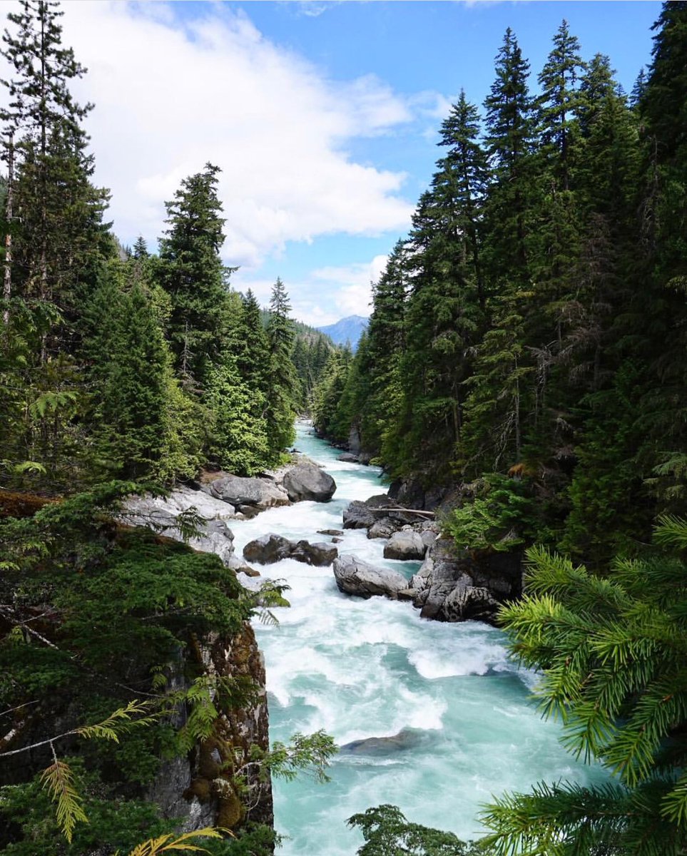 “Slowing down is sometimes the best way to speed up” - Mike Vance
📷 by @whistlermack via <a href="/instagram/">Instagram</a> #OnlyInWhistler #WeAreWhistler