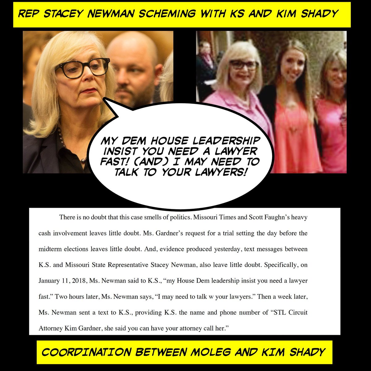 #donnybrookSTL Stacey Newman colluded with Katrina Sneed & Kim Gardner <br>http://pic.twitter.com/lbsqWSiVfP