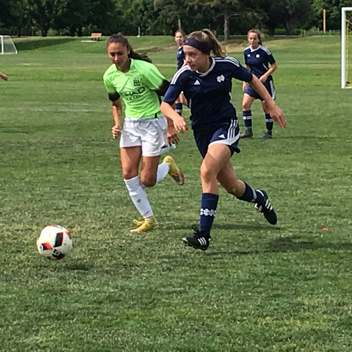 Notre Dame tweet media