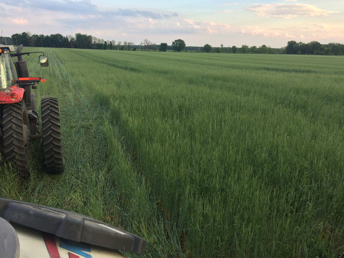 Mike Strang tweet media