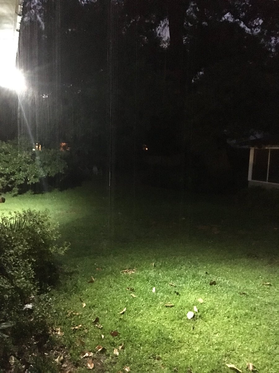 lecorgne's tweet photo. @MargaretOrr we ran outside we were so excited to hear rain!!! Lol #weneedrain #cooleddown #thatwasquick #rain #covington #nola https://t.co/3lMRb0UNFF