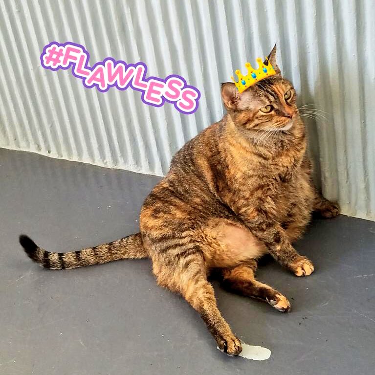 Es que tú 'tá' grande, 'tá' madura 
Pasan los años y te pones más dura 🎶😻