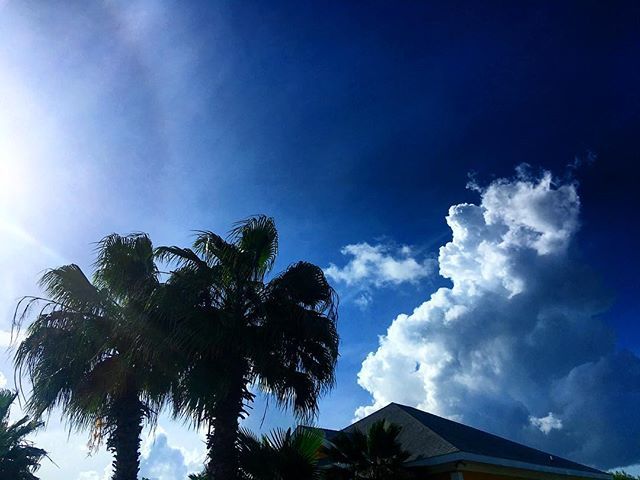 The sun is back!  Sprint training in the heat. 👍💛☀️
.
.
.
.
...
#grandcayman #caymanislands #finallybluesky #hugapalmtree #outdoortraining #outdoorfitness #sprinttraining #getoutside #caymanmobilefitness #welivewhereyouvacation #paradise #palmtrees #beautiful #love #345 …