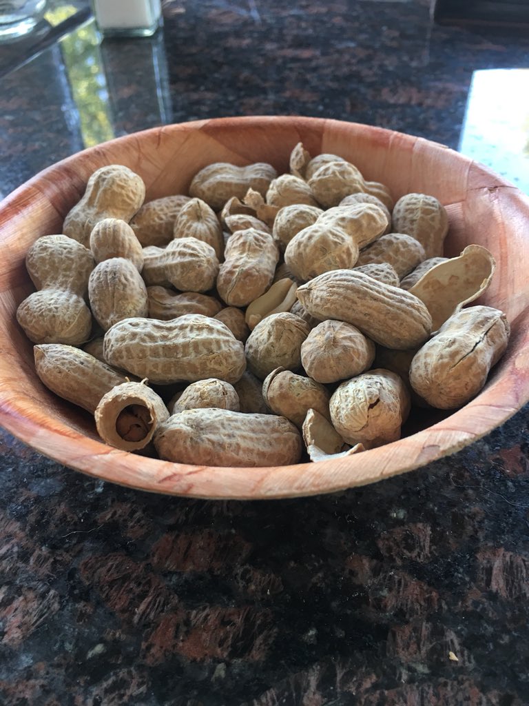 OC_Game_Audio's tweet photo. It’s deja vu all over again! Come find us #gameaudio folks at Heroes and Legends tonight! The beer is cold, the people are good, and peanuts abound! https://t.co/eLEqngjwzq