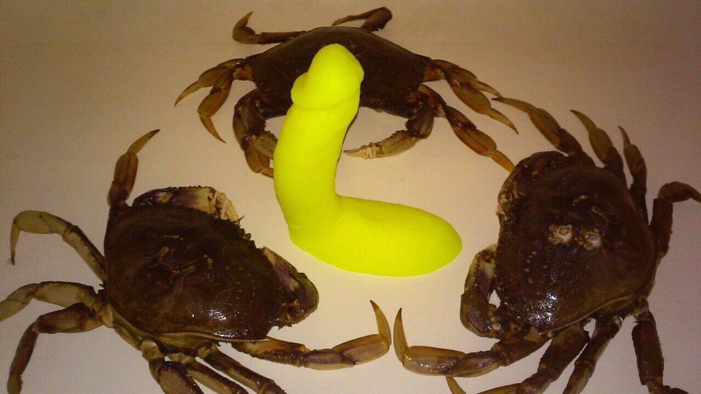 yunghermoso's tweet photo. cancer season is around the corner https://t.co/Jg323z1IPK